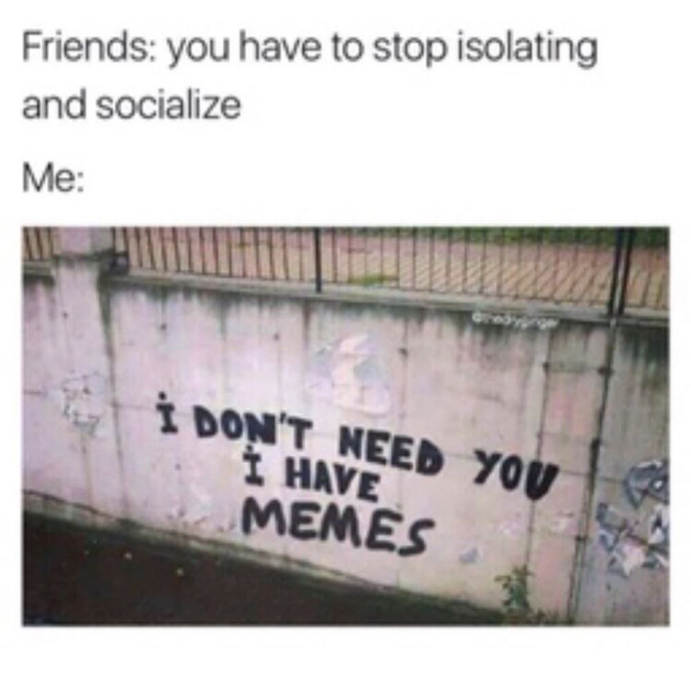 Friends: you have to stop isolating and socialize Me: I don't need you I have memes.