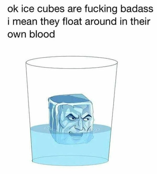 ok ice cubes are fucking badass i mean they float around in their own blood