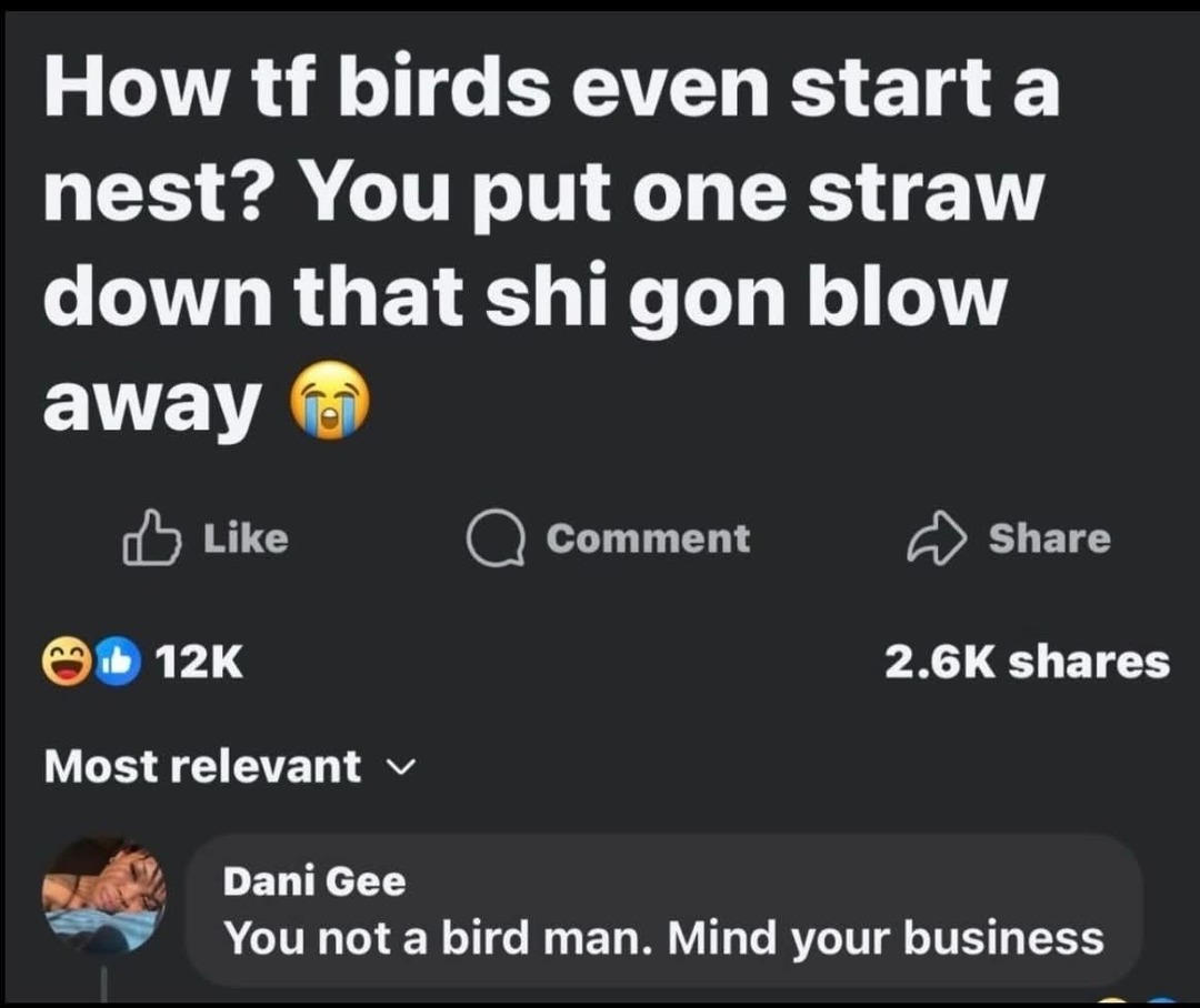 How tf birds even start a nest? You put one straw down that shi gon blow away 😭 Dani Gee: You not a bird man. Mind your business