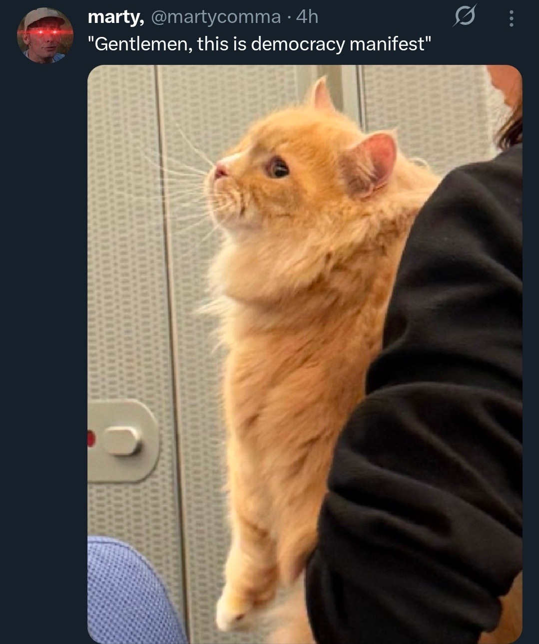 Gentlemen, this is democracy manifest