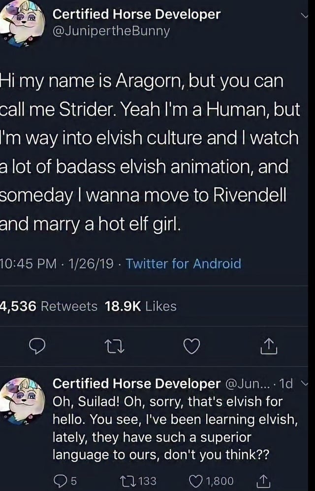 Hi my name is Aragorn, but you can call me Strider. Yeah I'm a Human, but I'm way into elvish culture and I watch a lot of badass elvish animation, and someday I wanna move to Rivendell and marry a hot elf girl. Oh, Suilad! Oh, sorry, that's elvish for hello. You see, I've been learning elvish, lately, they have such a superior language to ours, do