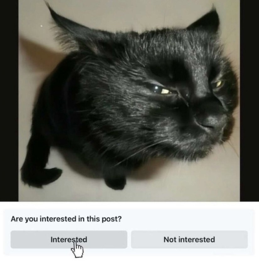 Are you interested in this post? Interested