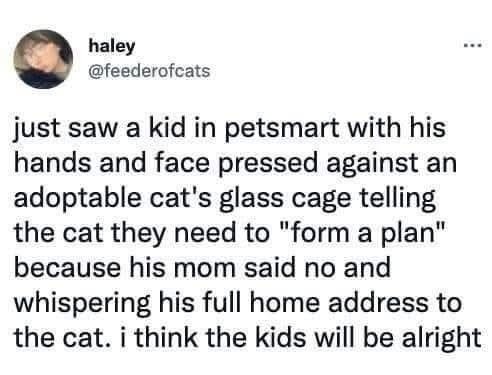 haley @feederofcats just saw a kid in petsmart with his hands and face pressed against an adoptable cat's glass cage telling the cat they need to 