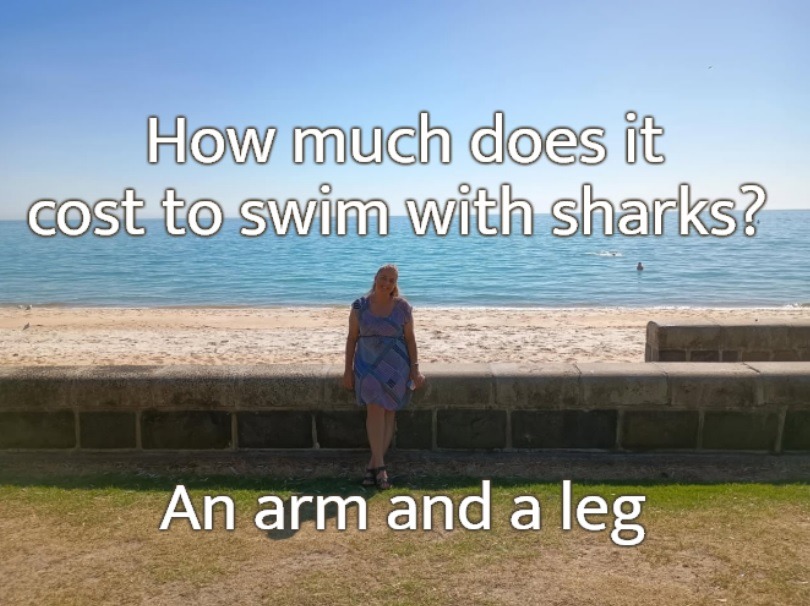 How much does it cost to swim with sharks? An arm and a leg