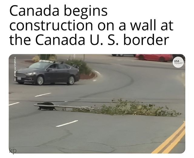 Canada begins construction on a wall at the Canada U. S. border. A beaver is seen dragging a large tree branch across a paved road, humorously representing the 'wall' construction.