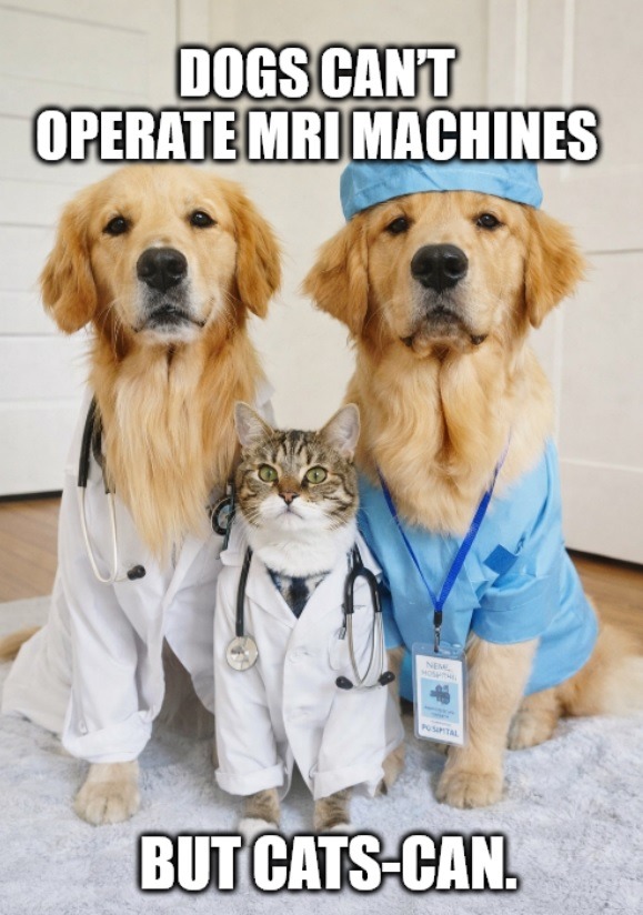 DOGS CAN'T OPERATE MRI MACHINES BUT CATS-CAN.