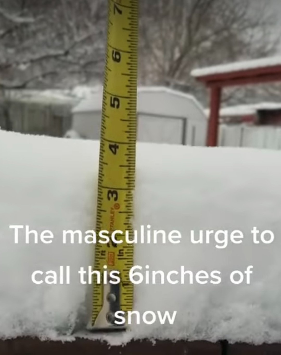 The masculine urge to call this 6 inches of snow