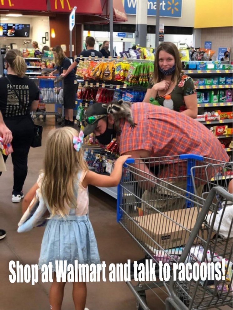 Shop at Walmart and talk to racoons!