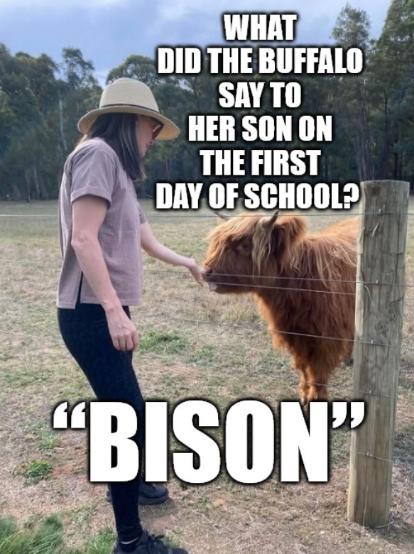 WHAT DID THE BUFFALO SAY TO HER SON ON THE FIRST DAY OF SCHOOL? 