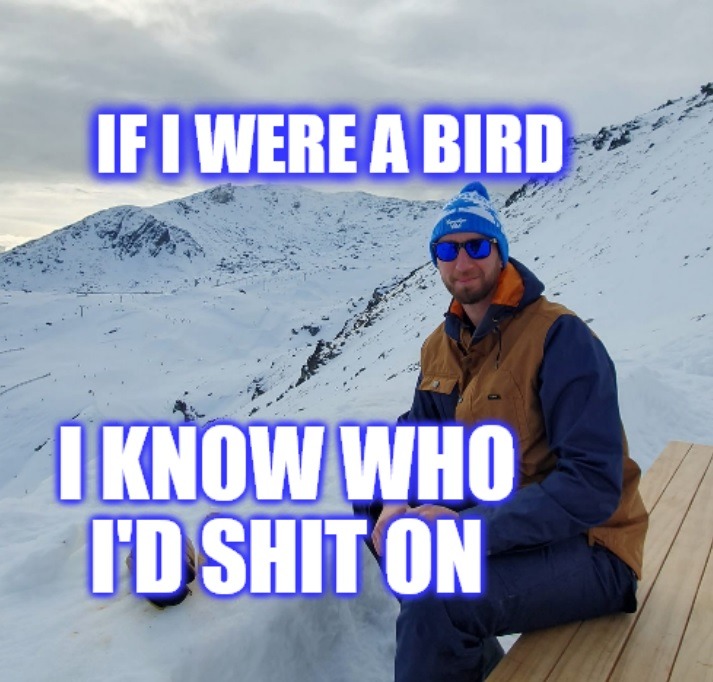 IF I WERE A BIRD I KNOW WHO I'D SHIT ON