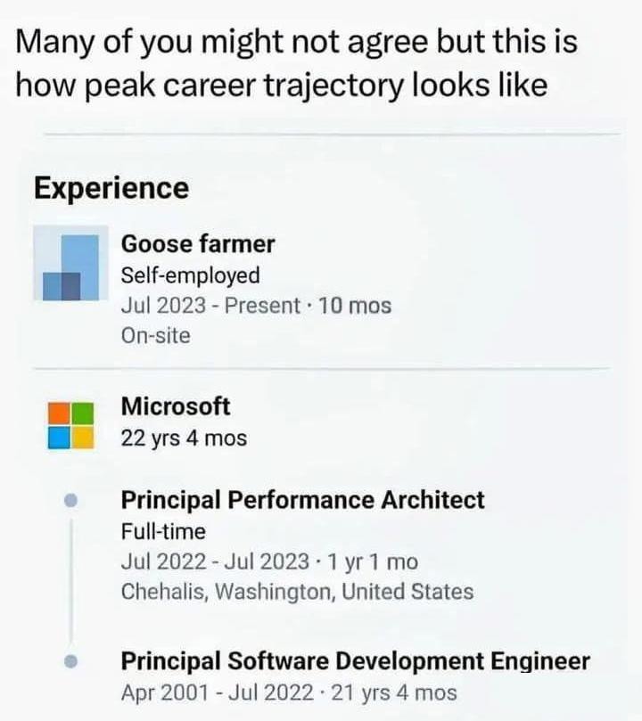 Many of you might not agree but this is how peak career trajectory looks like. Experience: Goose farmer, Self-employed, Jul 2023 - Present, 10 mos, On-site. Microsoft, 22 yrs 4 mos. Principal Performance Architect, Full-time, Jul 2022 - Jul 2023, 1 yr 1 mo, Chehalis, Washington, United States. Principal Software Development Engineer, Apr 2001 - Jul