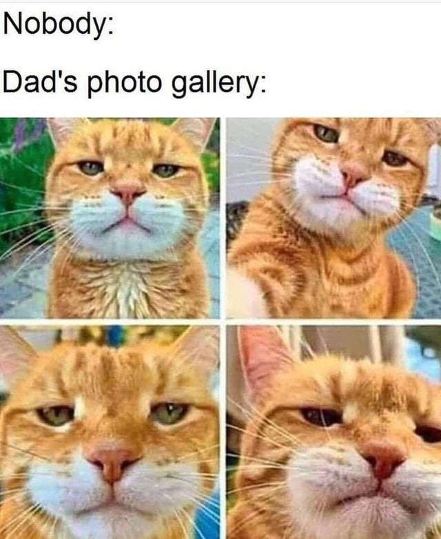 Nobody: Dad's photo gallery: