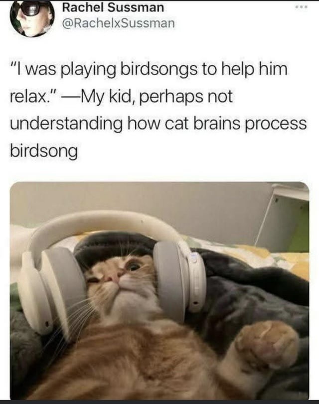 Rachel Sussman @RachelxSussman 