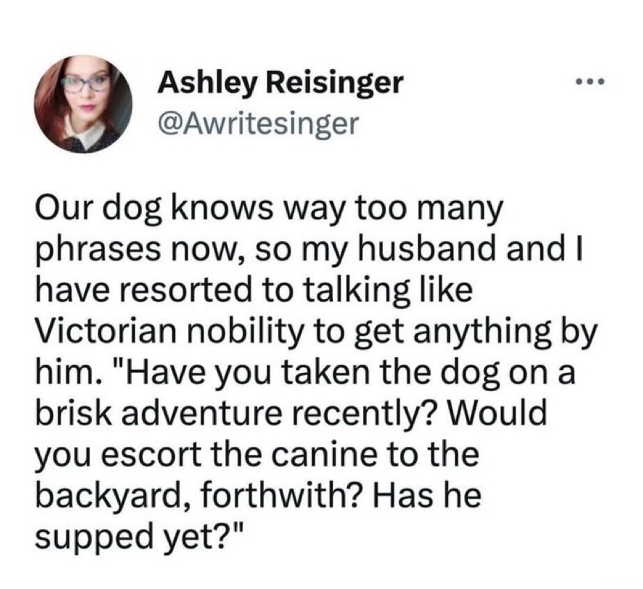 Ashley Reisinger @Awritesinger Our dog knows way too many phrases now, so my husband and I have resorted to talking like Victorian nobility to get anything by him. 