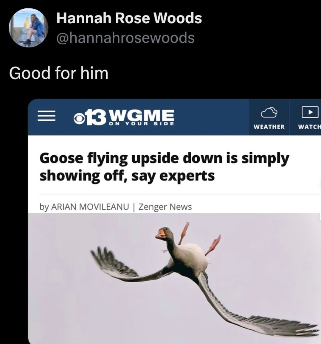 Hannah Rose Woods @hannahrosewoods Good for him. Goose flying upside down is simply showing off, say experts. by ARIAN MOVILEANU | Zenger News. 13 WGME ON YOUR SIDE. WEATHER. WATCH.