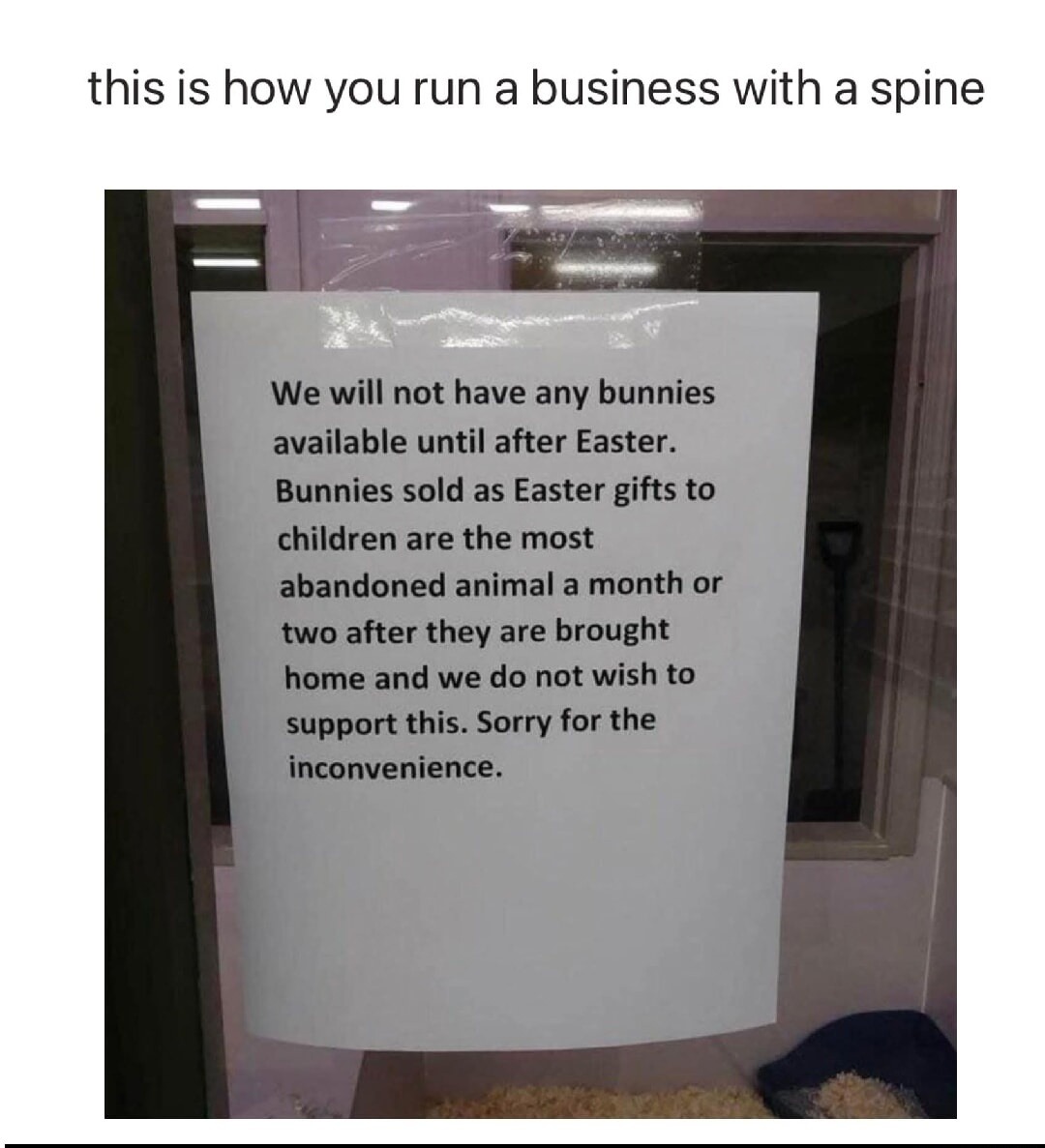 this is how you run a business with a spine We will not have any bunnies available until after Easter. Bunnies sold as Easter gifts to children are the most abandoned animal a month or two after they are brought home and we do not wish to support this. Sorry for the inconvenience.