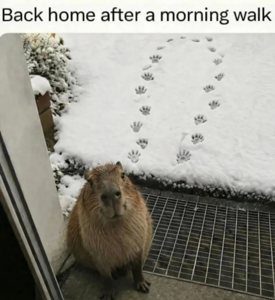 Back home after a morning walk