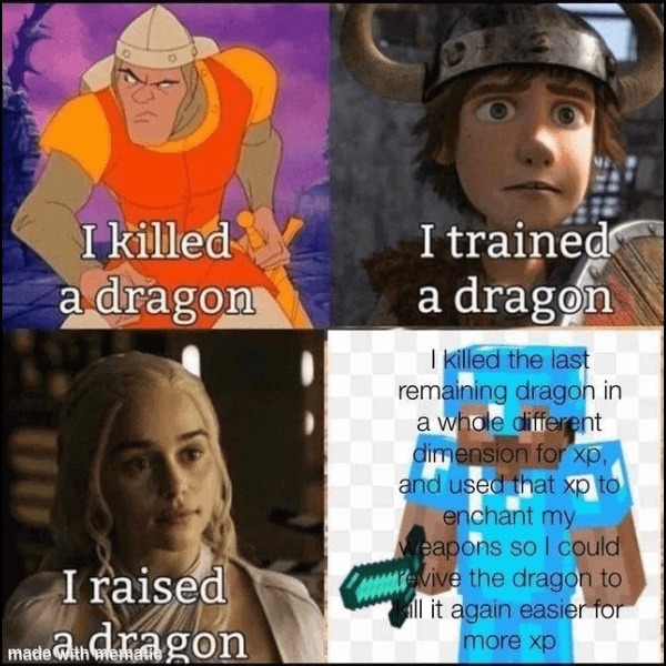 I killed a dragon. I trained a dragon. I raised a dragon. I killed the last remaining dragon in a whole different dimension for xp, and used that xp to enchant my weapons so I could revive the dragon to kill it again easier for more xp.