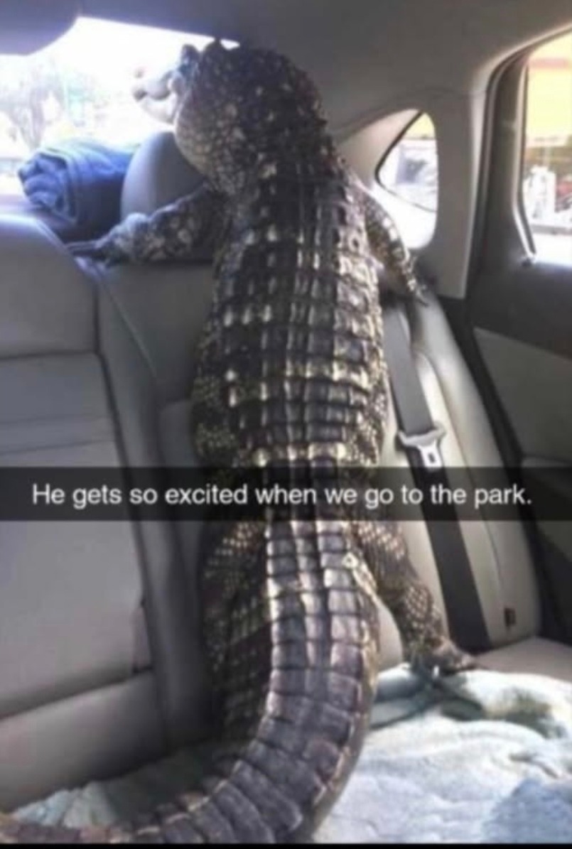 He gets so excited when we go to the park.