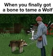 When you finally got a bone to tame a Wolf