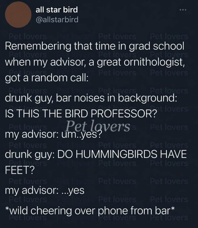all star bird @allstarbird Remembering that time in grad school when my advisor, a great ornithologist, got a random call: drunk guy, bar noises in background: IS THIS THE BIRD PROFESSOR? my advisor: um..yes? drunk guy: DO HUMMINGBIRDS HAVE FEET? my advisor: ...yes *wild cheering over phone from bar*