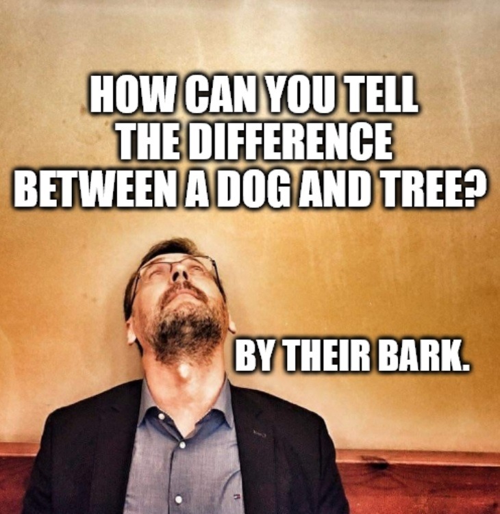 HOW CAN YOU TELL THE DIFFERENCE BETWEEN A DOG AND TREE? BY THEIR BARK.