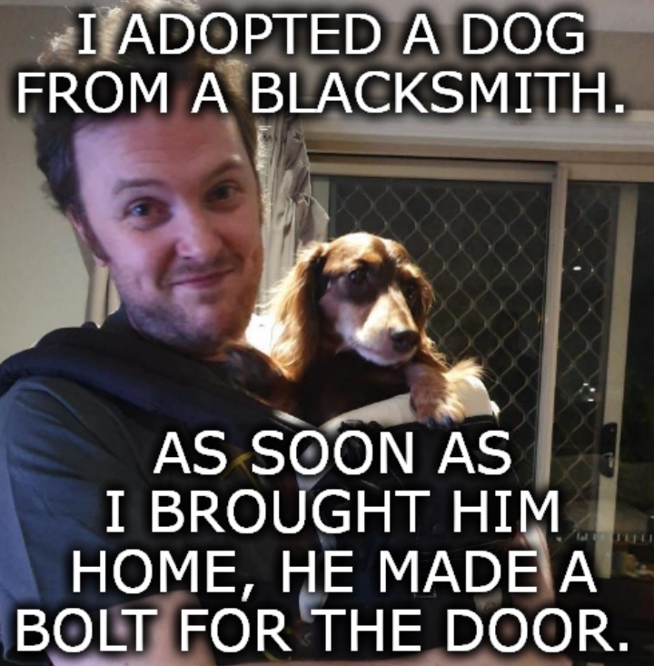 I ADOPTED A DOG FROM A BLACKSMITH. AS SOON AS I BROUGHT HIM HOME, HE MADE A BOLT FOR THE DOOR.