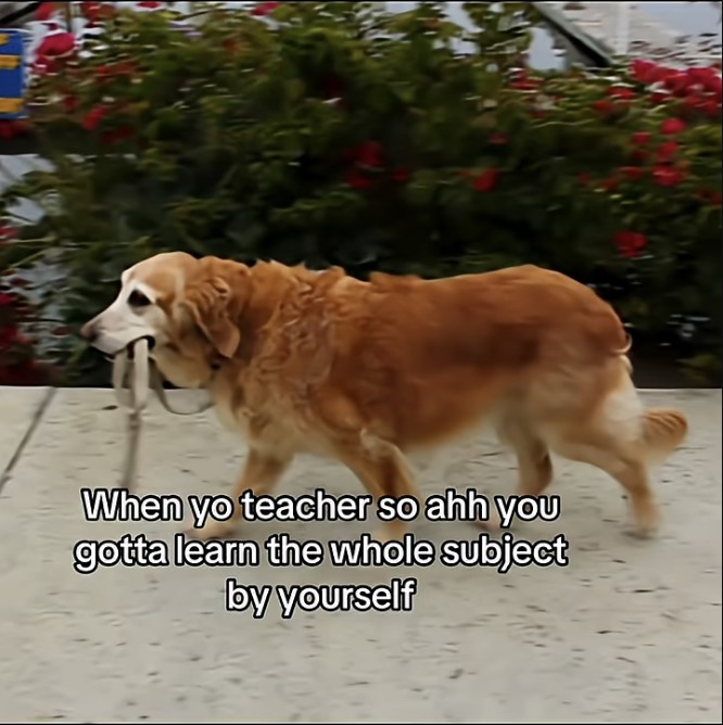 When yo teacher so ahh you gotta learn the whole subject by yourself