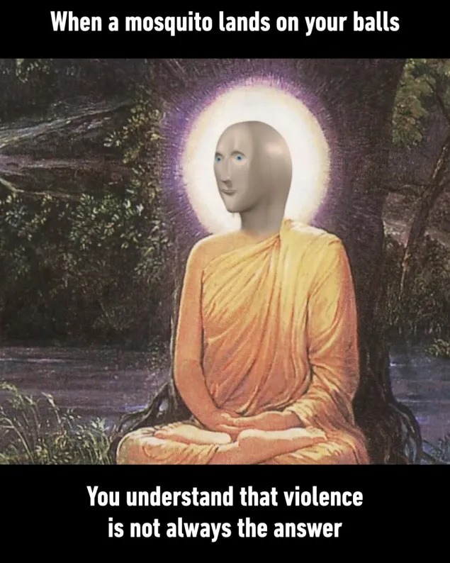 When a mosquito lands on your balls You understand that violence is not always the answer