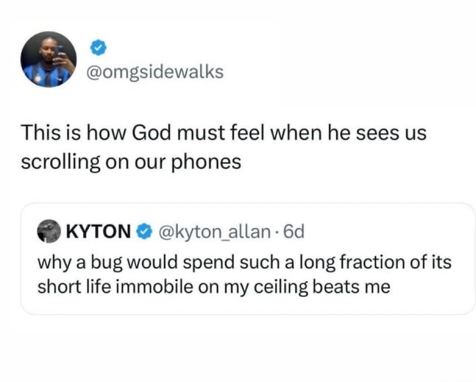 This is how God must feel when he sees us scrolling on our phones. why a bug would spend such a long fraction of its short life immobile on my ceiling beats me