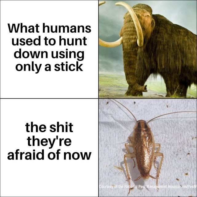 What humans used to hunt down using only a stick the shit they're afraid of now