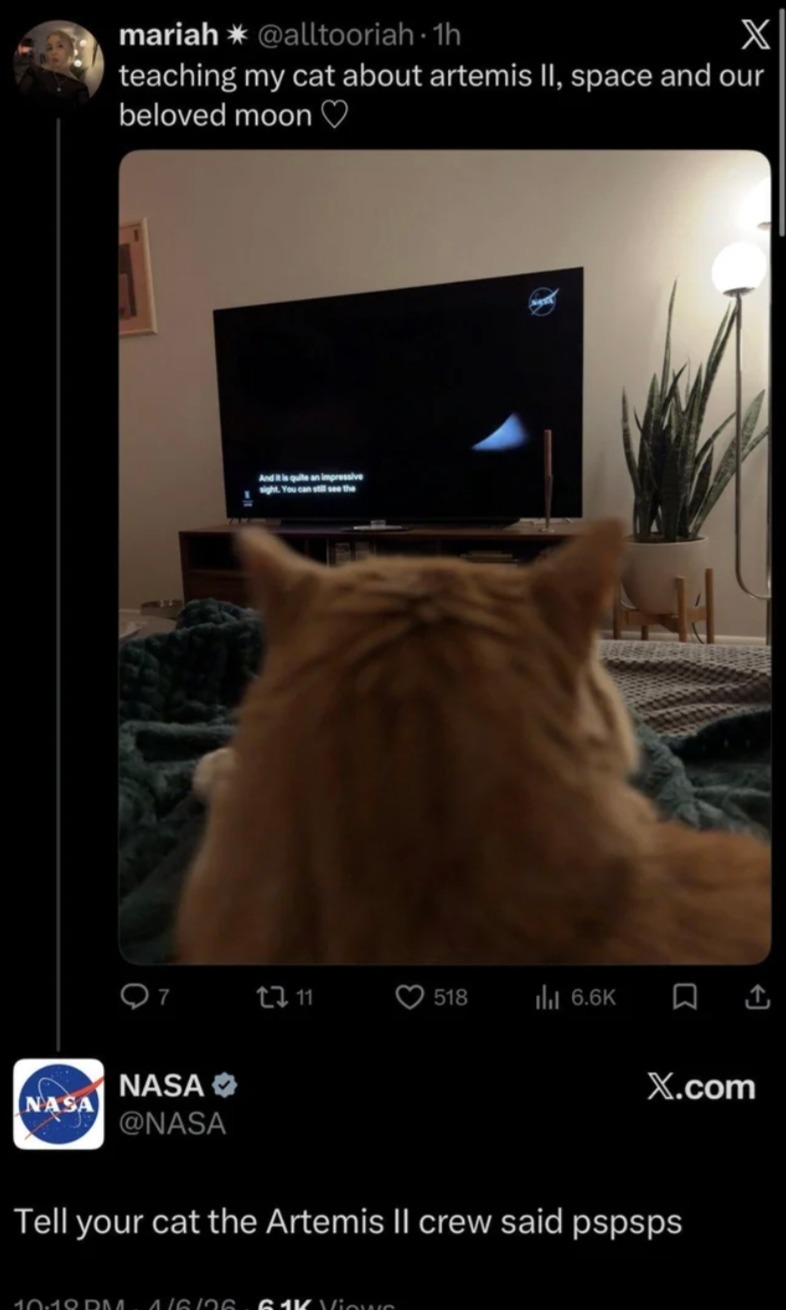 teaching my cat about artemis II, space and our beloved moon. And it is quite an impressive night. You can still see the. Tell your cat the Artemis II crew said pspsps.