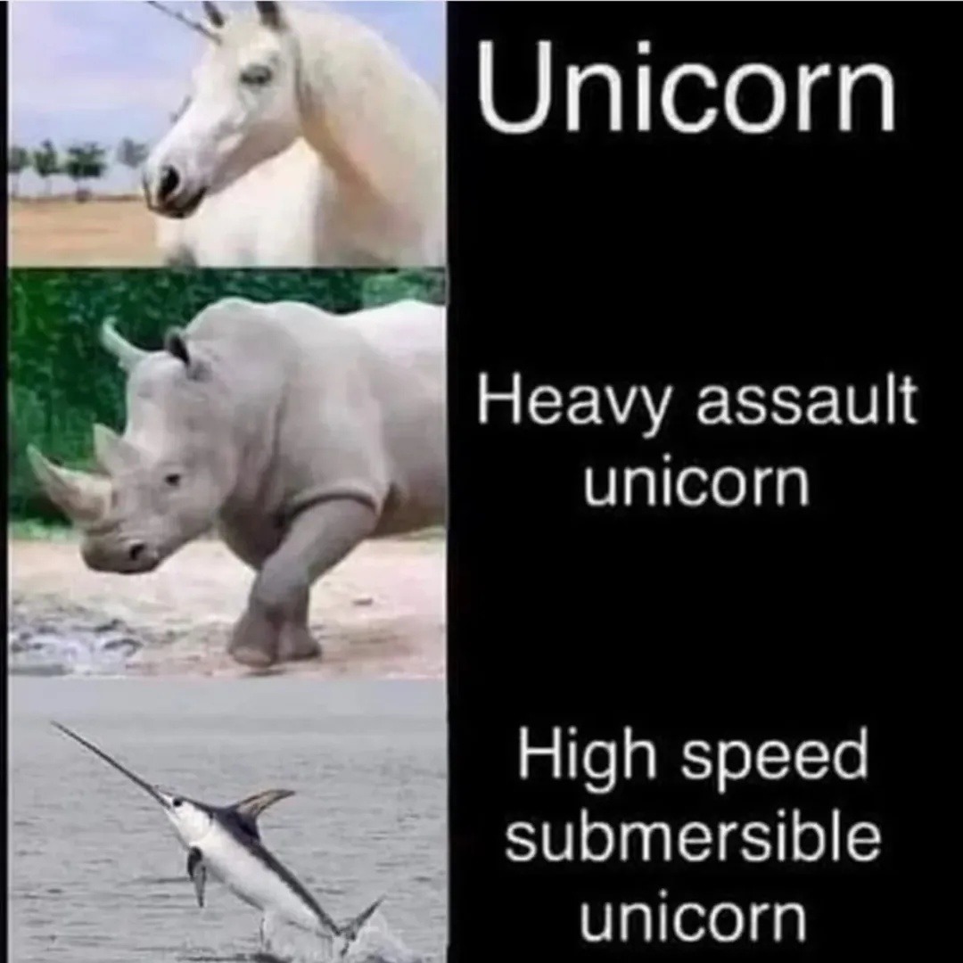 Unicorn Heavy assault unicorn High speed submersible unicorn