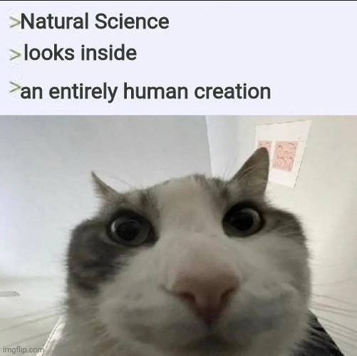 Natural Science looks inside an entirely human creation