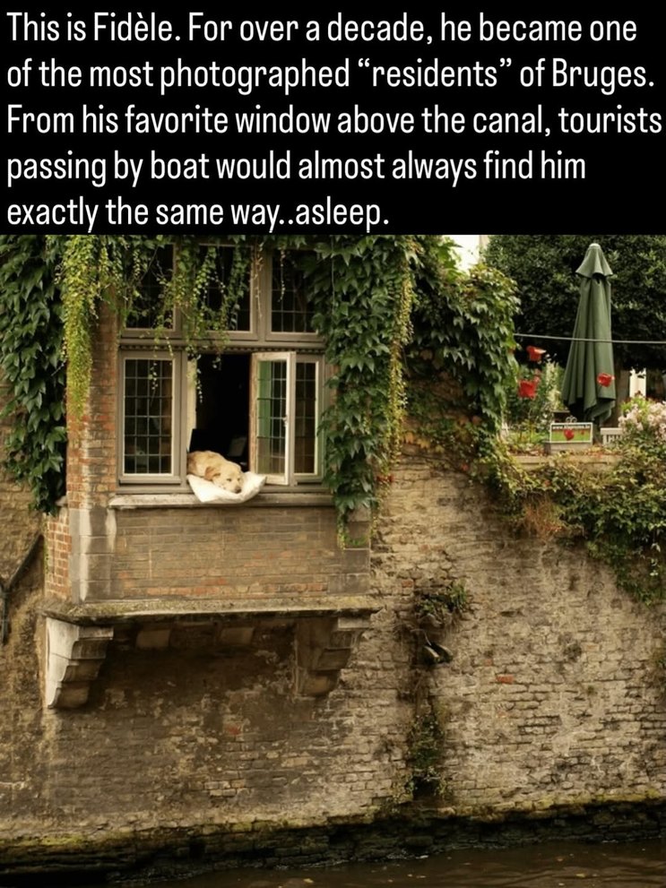 This is Fidèle. For over a decade, he became one of the most photographed 