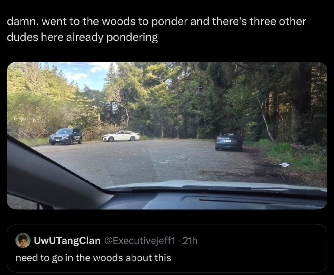 damn, went to the woods to ponder and there's three other dudes here already pondering. need to go in the woods about this