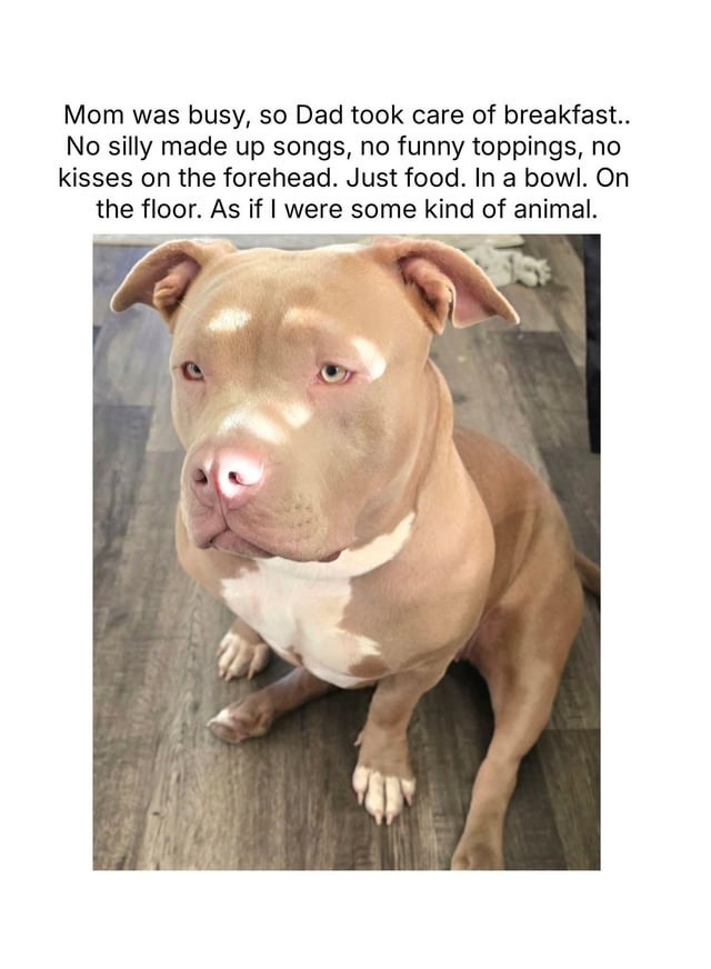 Mom was busy, so Dad took care of breakfast.. No silly made up songs, no funny toppings, no kisses on the forehead. Just food. In a bowl. On the floor. As if I were some kind of animal.