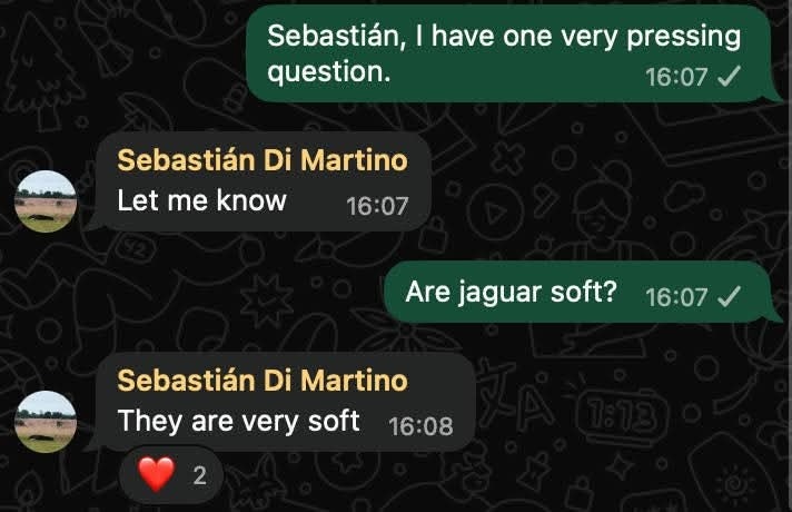 Sebastián, I have one very pressing question. Let me know. Are jaguar soft? They are very soft.