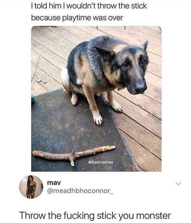 I told him I wouldn't throw the stick because playtime was over. @Bestmemes. mav @meadhbhoconnor_. Throw the fucking stick you monster.
