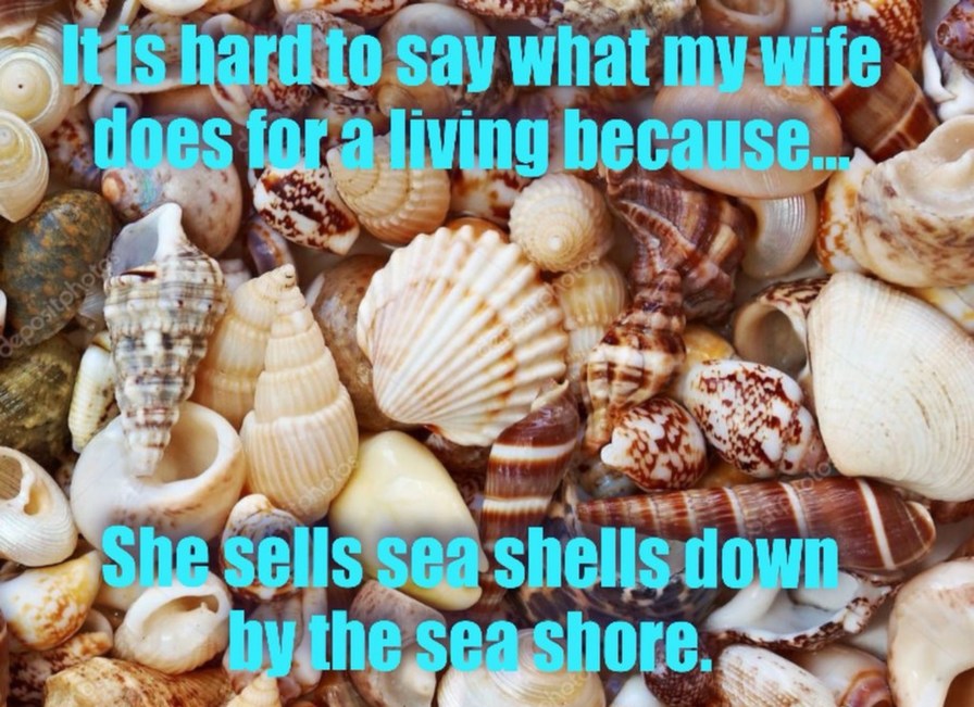 It is hard to say what my wife does for a living because... She sells sea shells down by the sea shore.