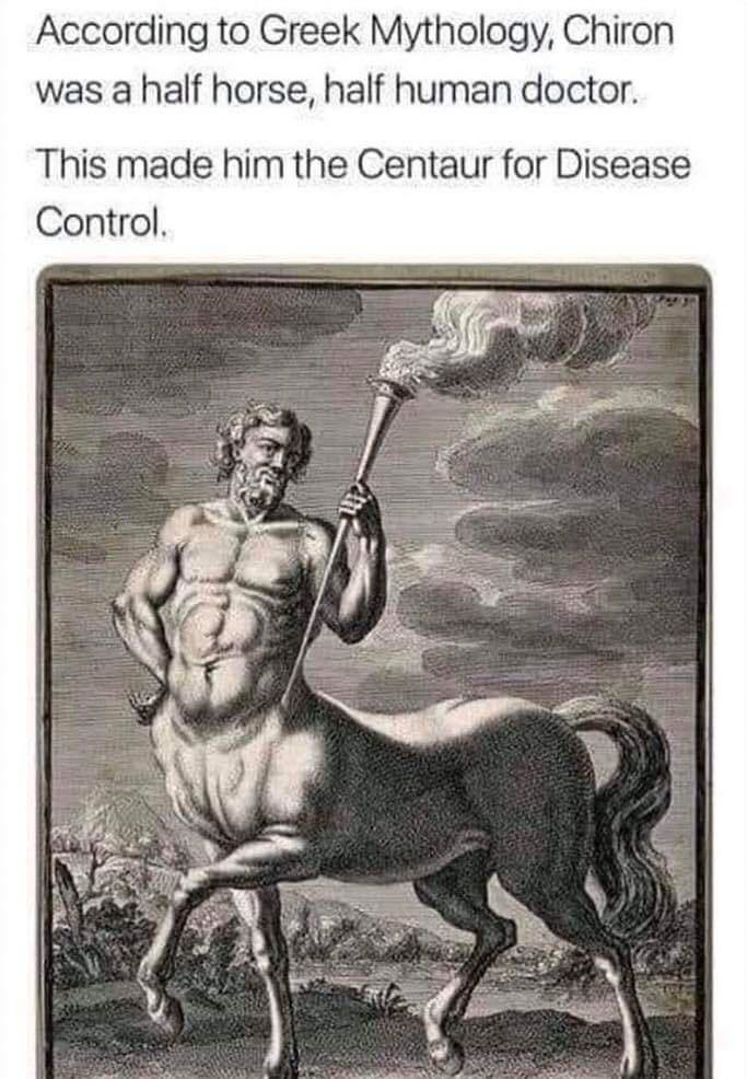 According to Greek Mythology, Chiron was a half horse, half human doctor. This made him the Centaur for Disease Control.