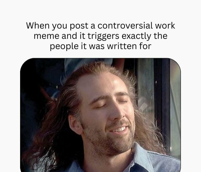 When you post a controversial work meme and it triggers exactly the people it was written for