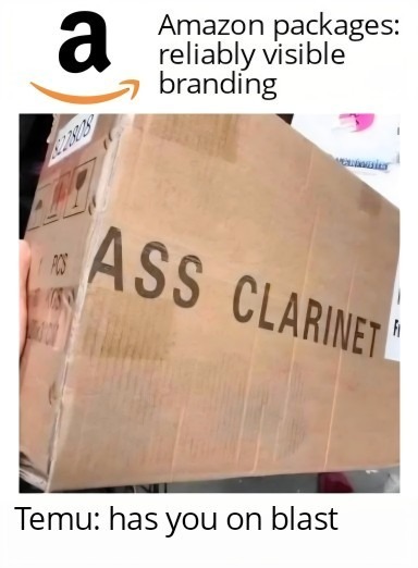 Amazon packages: reliably visible branding. ASS CLARINET. Temu: has you on blast.
