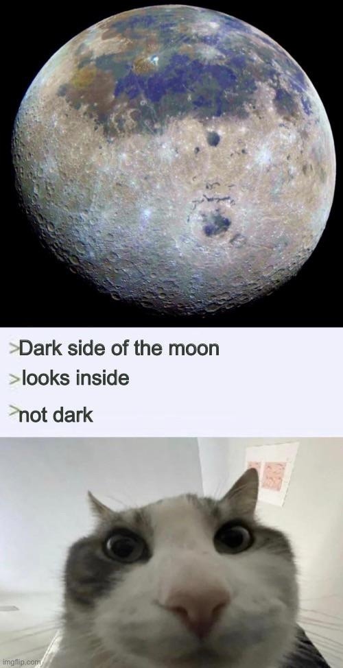 Dark side of the moon looks inside not dark
