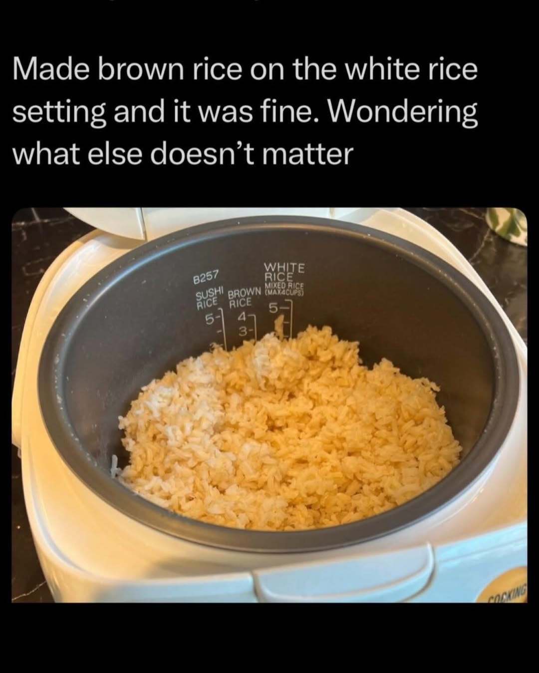 Made brown rice on the white rice setting and it was fine. Wondering what else doesn't matter