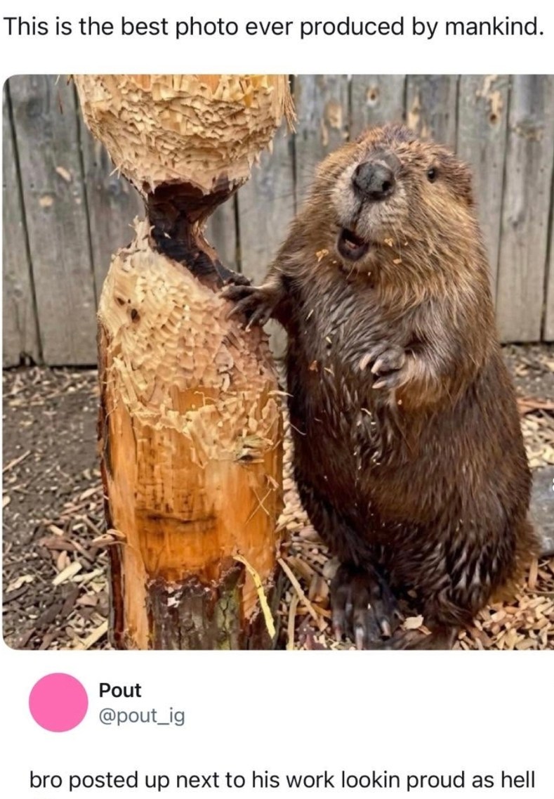 This is the best photo ever produced by mankind. Pout @pout_ig bro posted up next to his work lookin proud as hell