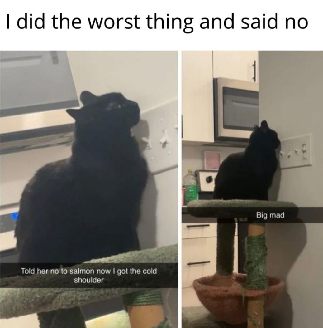 I did the worst thing and said no. Told her no to salmon now I got the cold shoulder. Big mad.