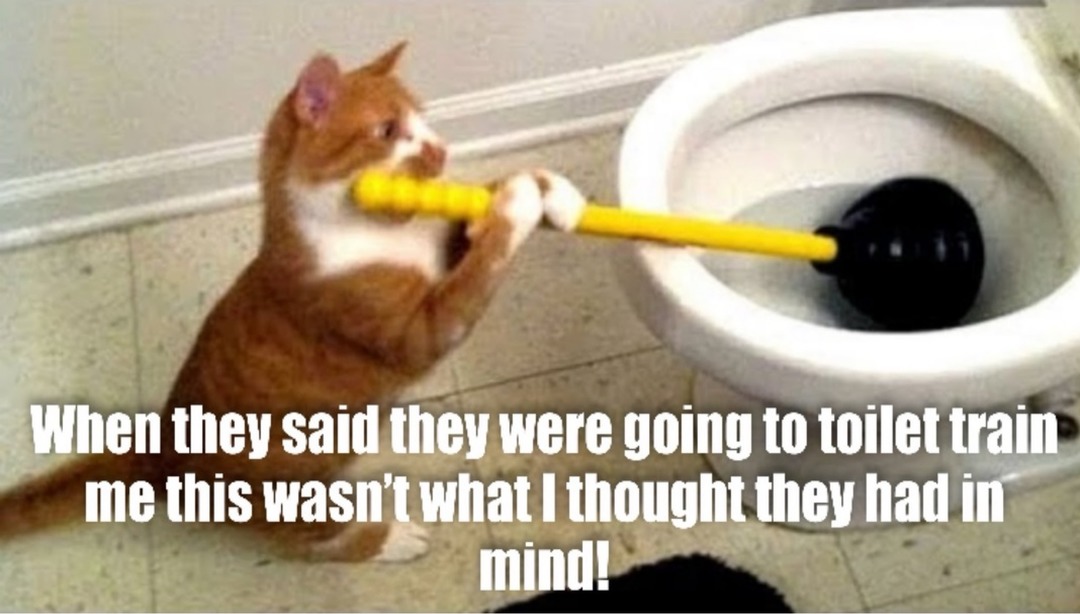 When they said they were going to toilet train me this wasn't what I thought they had in mind!