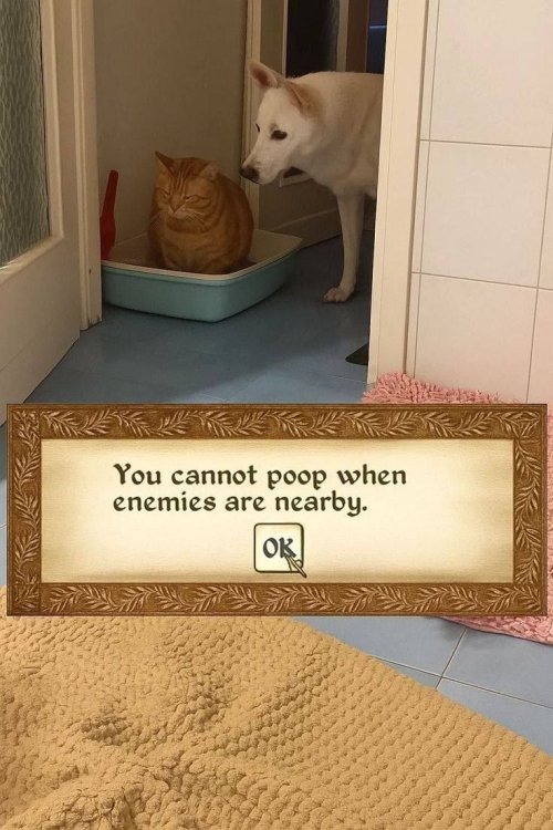 You cannot poop when enemies are nearby. OK