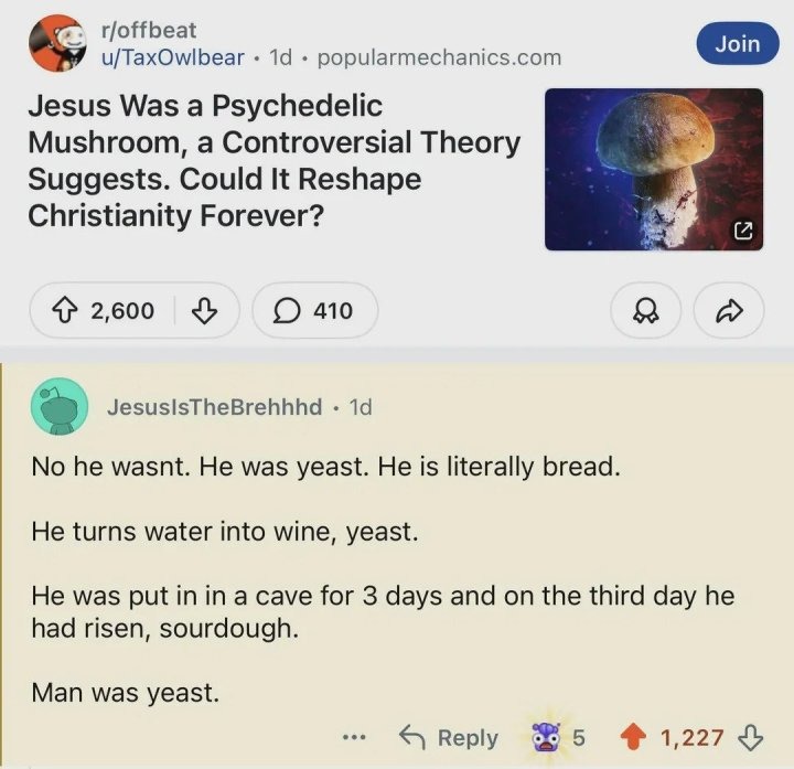 Jesus Was a Psychedelic Mushroom, a Controversial Theory Suggests. Could It Reshape Christianity Forever? No he wasnt. He was yeast. He is literally bread. He turns water into wine, yeast. He was put in in a cave for 3 days and on the third day he had risen, sourdough. Man was yeast.